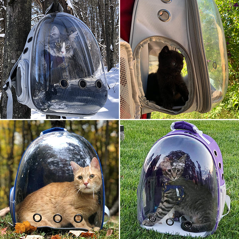 Bolsa transparente para pets
